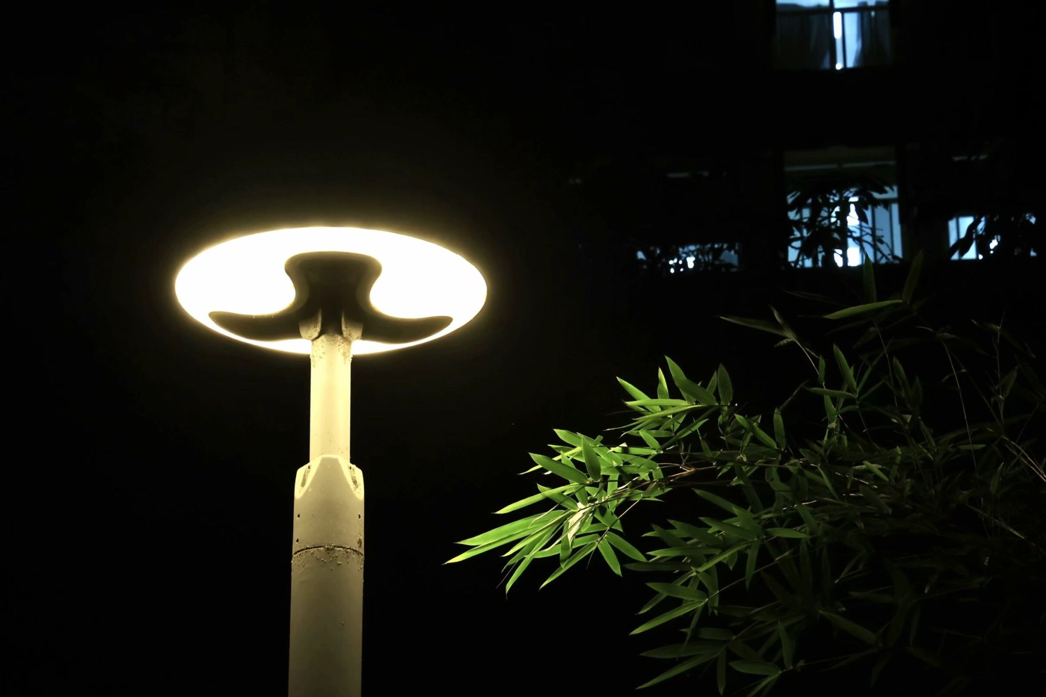 copyright @ 2009-2